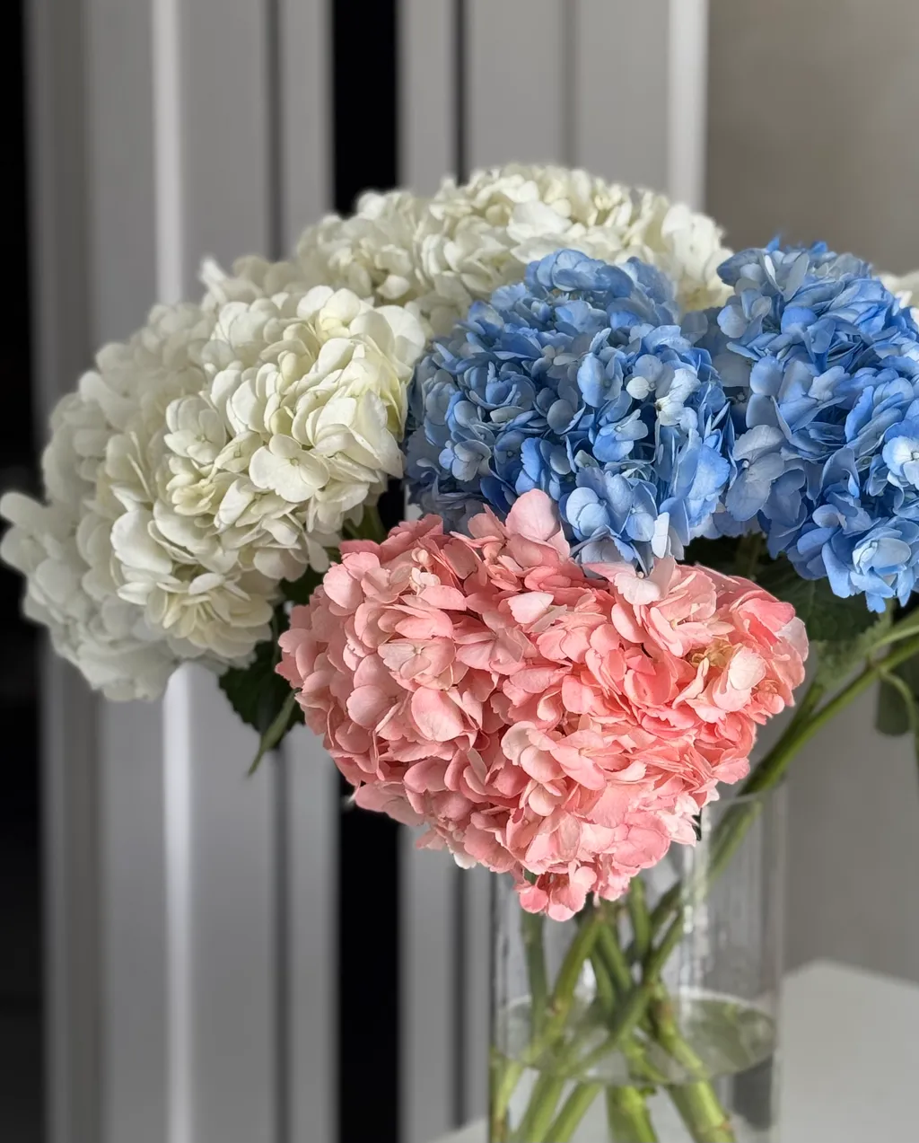 Догляд за гортензією