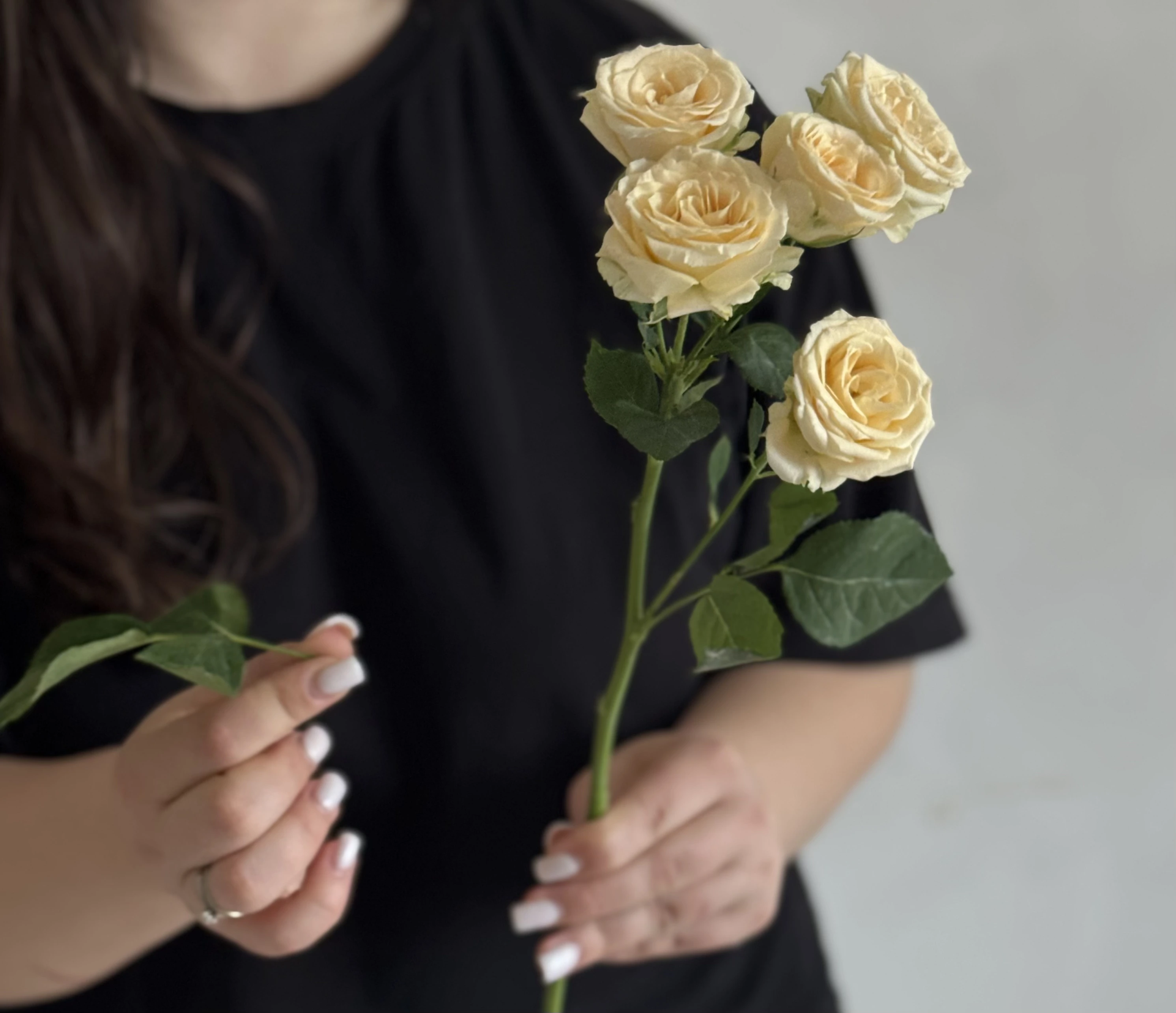 Хрестоподібний надріз на стеблі гортензії