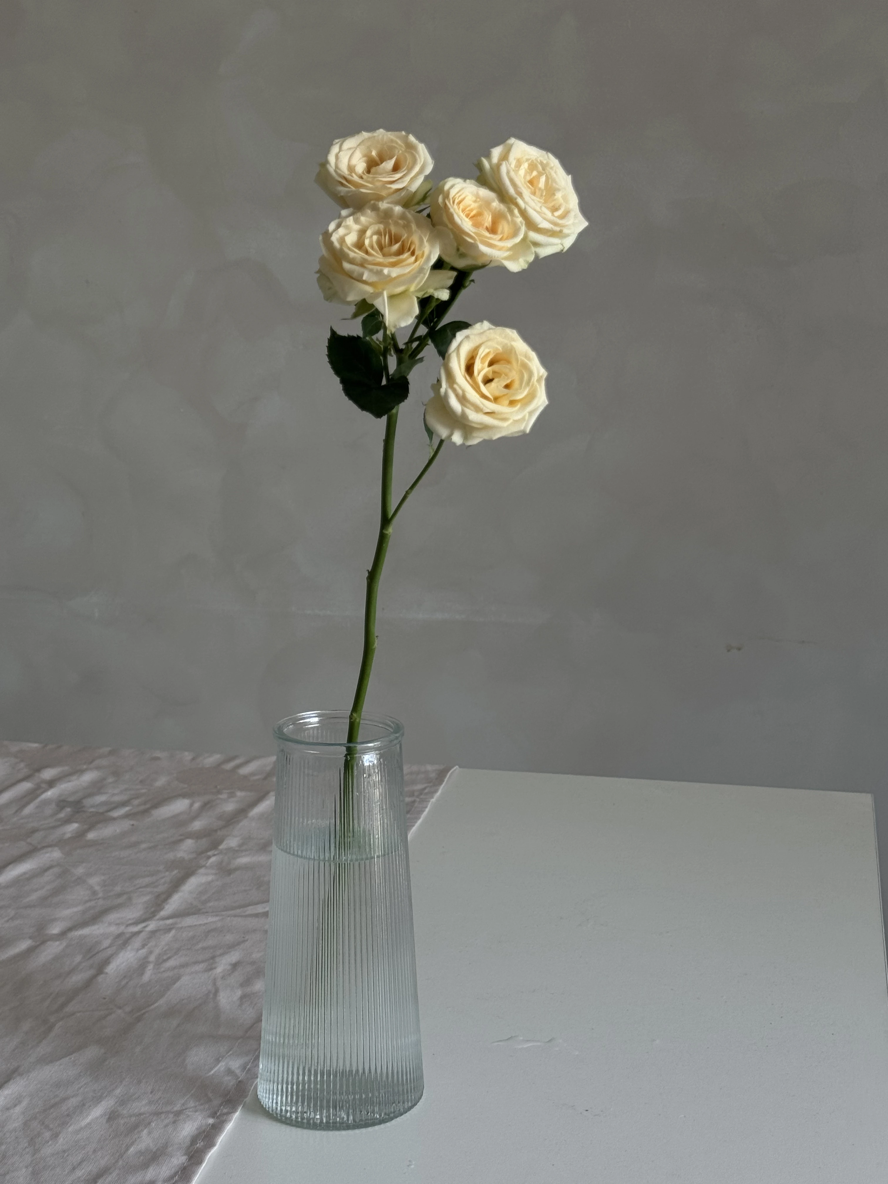 Хрестоподібний надріз на стеблі гортензії